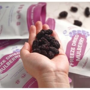 FREEZE-DRIED-MULBERRY.jpg FREEZE DRIED MULBERRY 40g